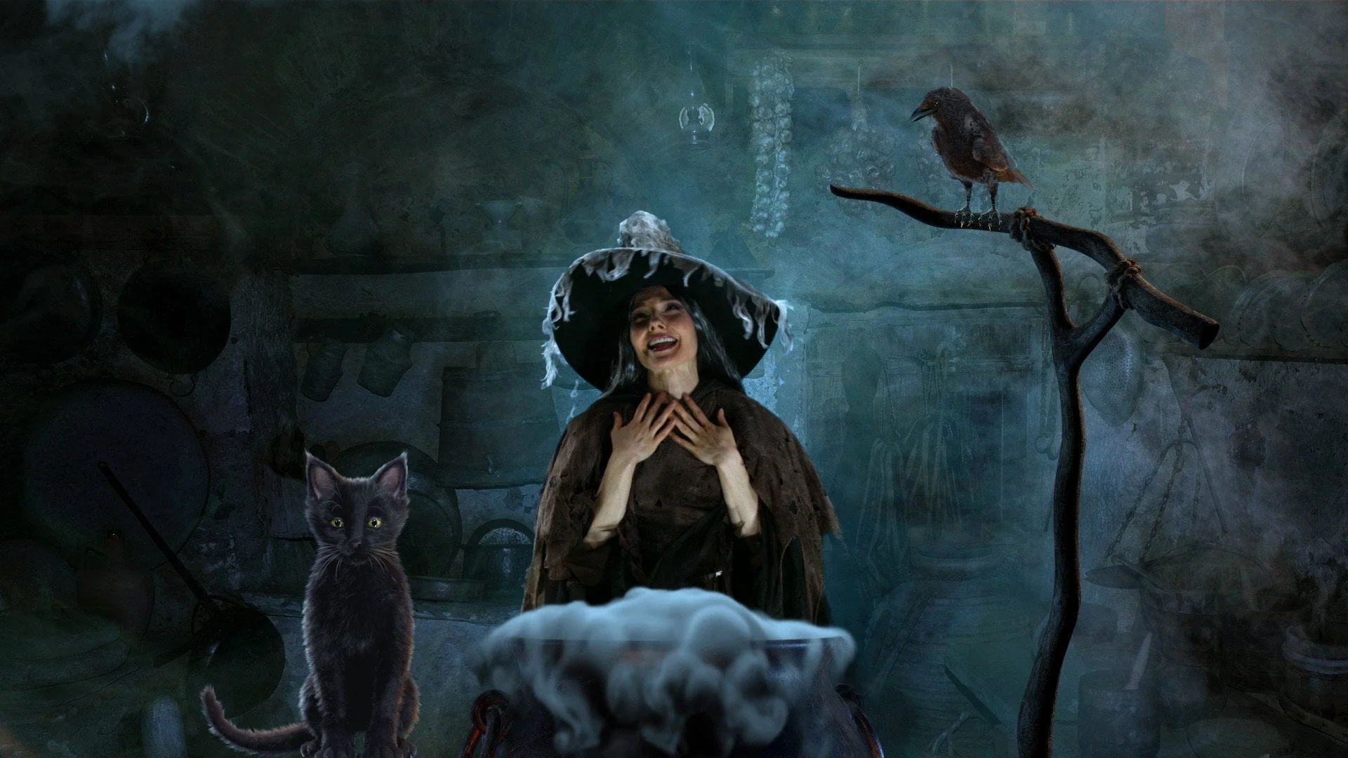 Thumbnail 12